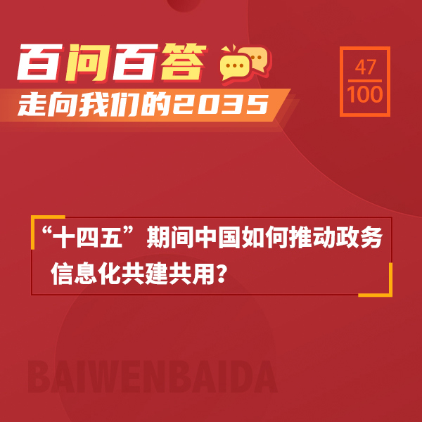 “十四五”期间中国如何推动政务信息化共建共用？